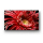 Sony TV SONY 65" KD65XG8505 UHD, Android TV # - 1390793 - zdjęcie 10